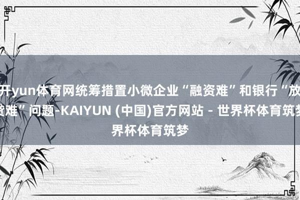 开yun体育网统筹措置小微企业“融资难”和银行“放贷难”问题-KAIYUN (中国)官方网站 - 世界杯体育筑梦