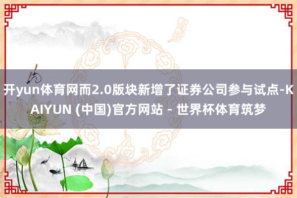 开yun体育网而2.0版块新增了证券公司参与试点-KAIYUN (中国)官方网站 - 世界杯体育筑梦