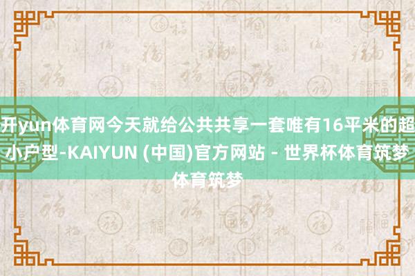 开yun体育网今天就给公共共享一套唯有16平米的超小户型-KAIYUN (中国)官方网站 - 世界杯体育筑梦