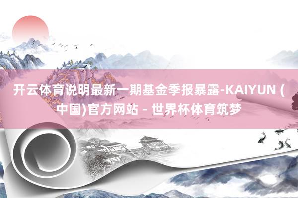 开云体育说明最新一期基金季报暴露-KAIYUN (中国)官方网站 - 世界杯体育筑梦