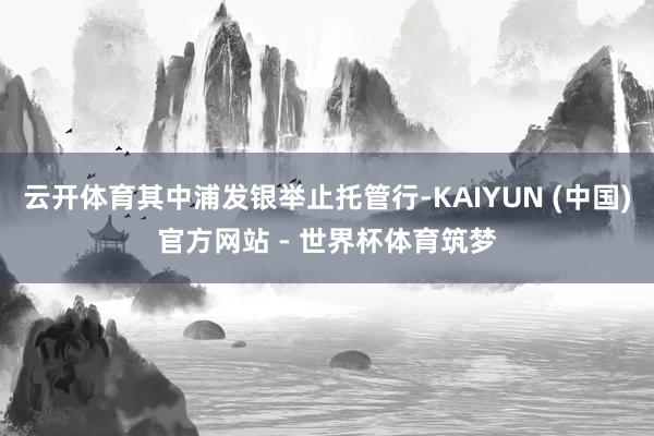 云开体育其中浦发银举止托管行-KAIYUN (中国)官方网站 - 世界杯体育筑梦