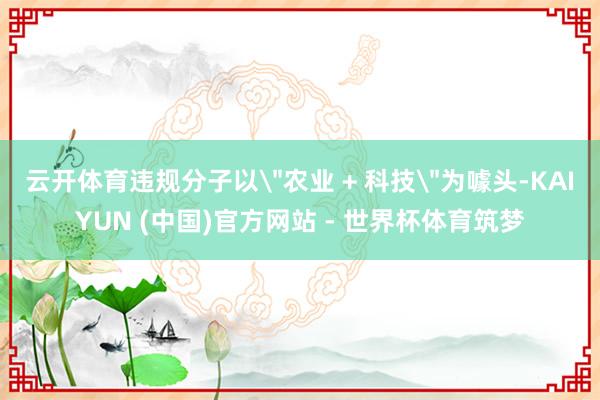 云开体育违规分子以