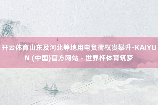 开云体育山东及河北等地用电负荷权贵攀升-KAIYUN (中国)官方网站 - 世界杯体育筑梦