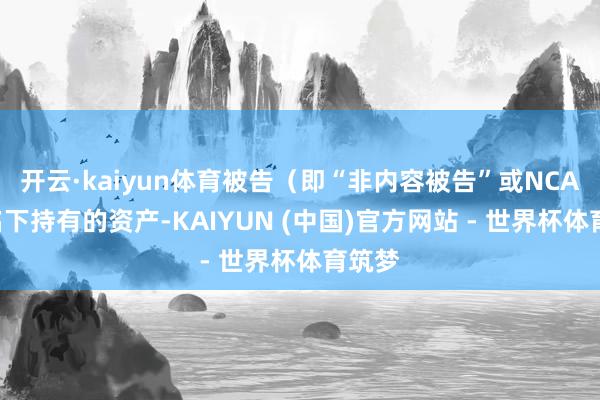 开云·kaiyun体育被告（即“非内容被告”或NCAD）名下持有的资产-KAIYUN (中国)官方网站 - 世界杯体育筑梦