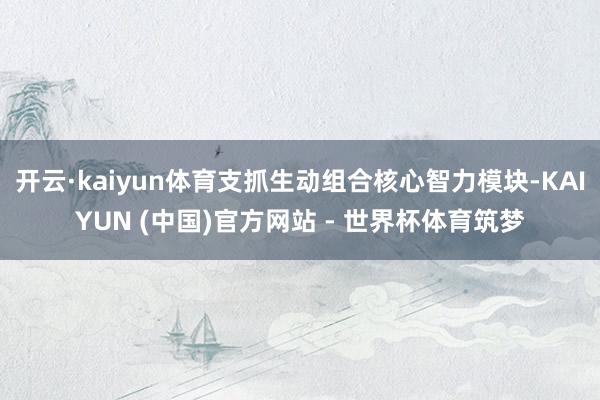 开云·kaiyun体育支抓生动组合核心智力模块-KAIYUN (中国)官方网站 - 世界杯体育筑梦